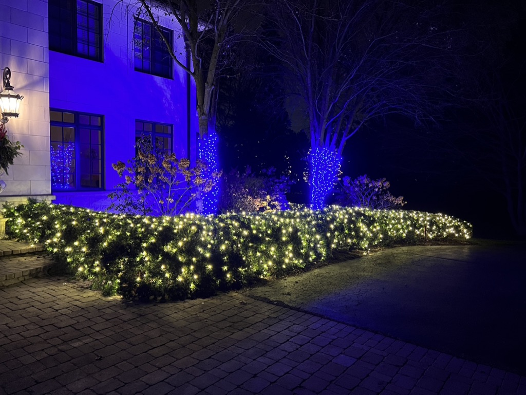 professional holiday lighting - trees and bushes
